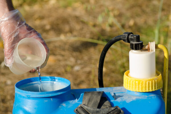 Pesticide being added into  a sprayer using a measuring cup